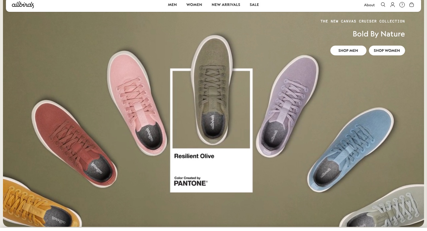 Allbirds reference screenshot